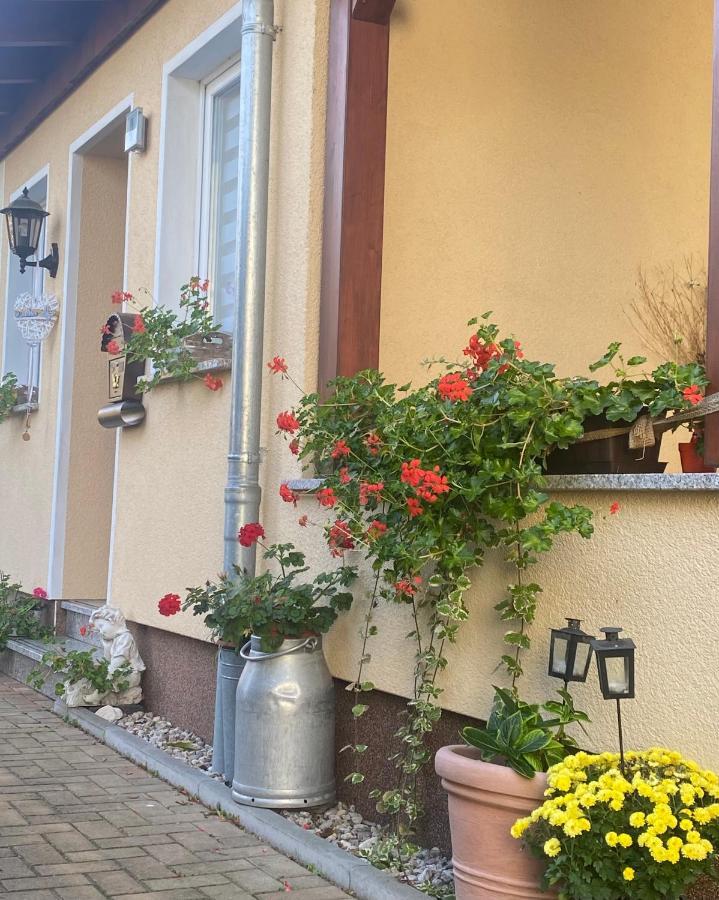 Ferienwohnung „Thea“ Bad Lausick Exterior foto